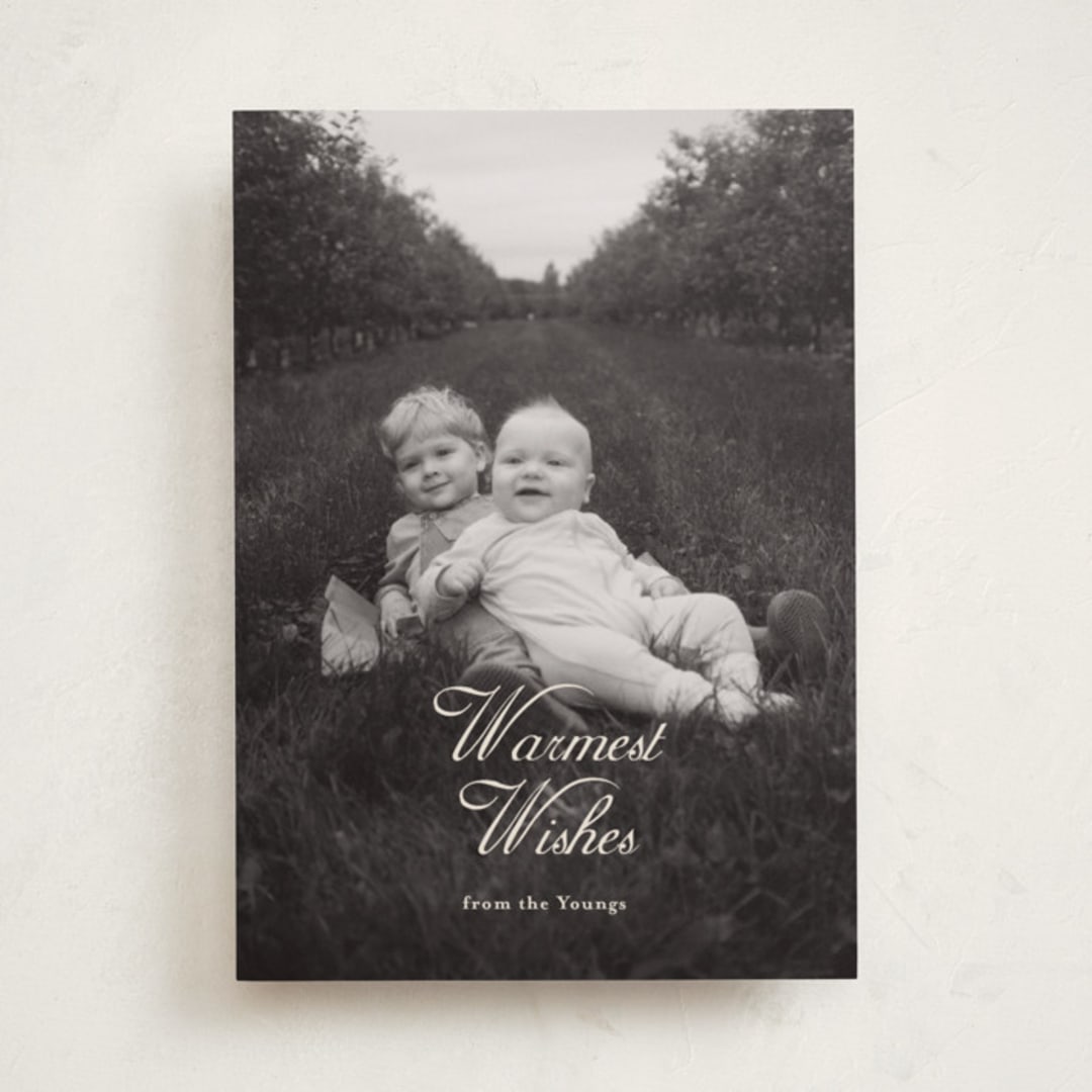 "Warm Winter Wishes" - Holiday Cards in Vanilla by Ani Somi - Front