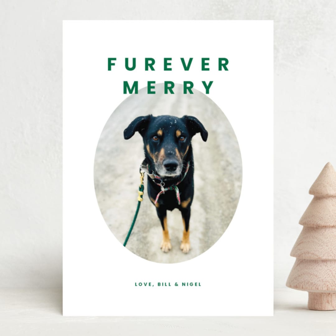 "Furever Merry" - Holiday Cards in Forest by Inkblot Design - Front