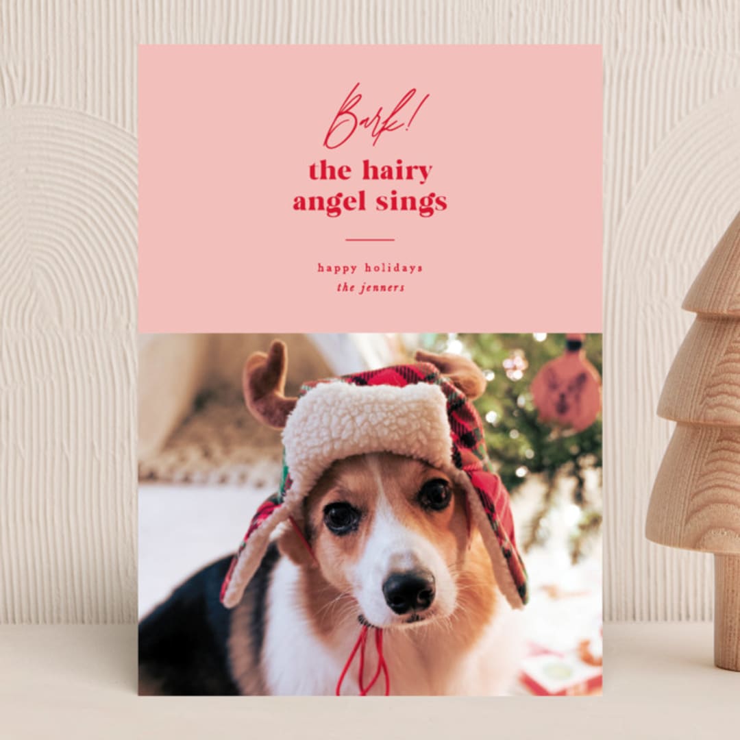 Barking holiday