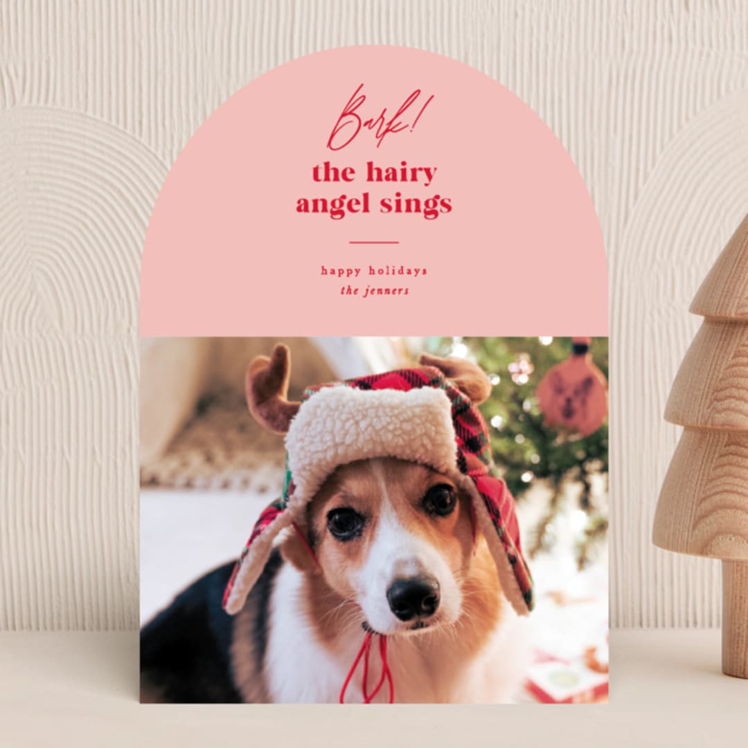 Barking holiday