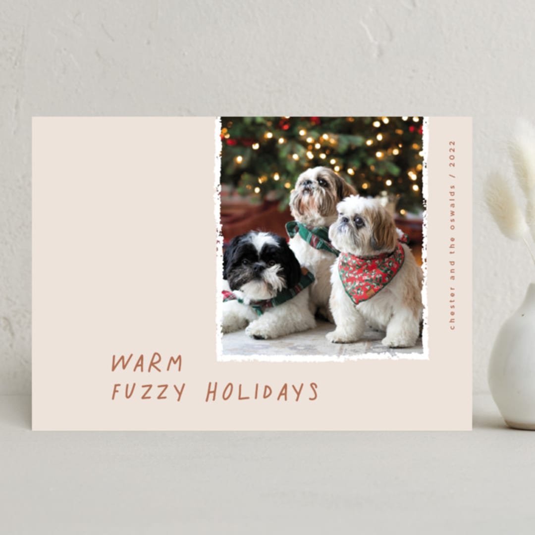"Warm Fuzzy" - Holiday Cards in Caramel Mocha by Merian - Front
