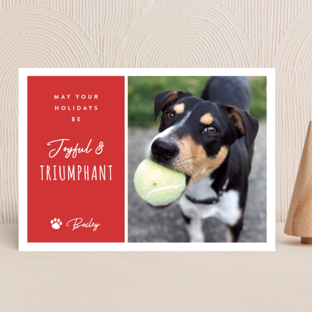"Triumphant" - Holiday Cards in Candied Apple by Kampai Designs - Front