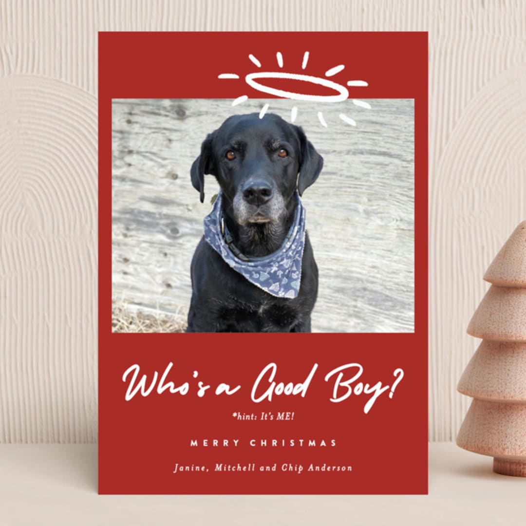"Good Boy" - Holiday Cards in Crimson by J. Dario Design Co. - Front