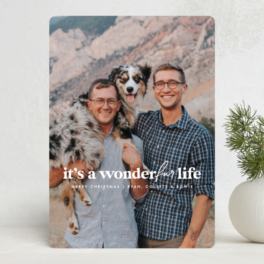 a wonderfur life