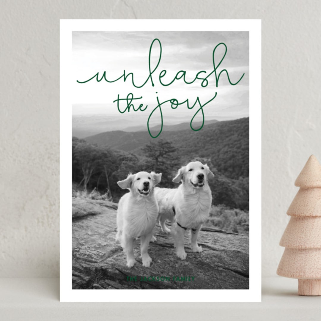 "Unleash the Joy" - Holiday Cards in Pine by Sandra Picco Design - Front