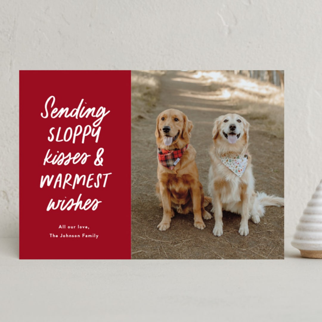 "Dog Wishes" - Holiday Cards in Cardinal by Ekko Studio - Front
