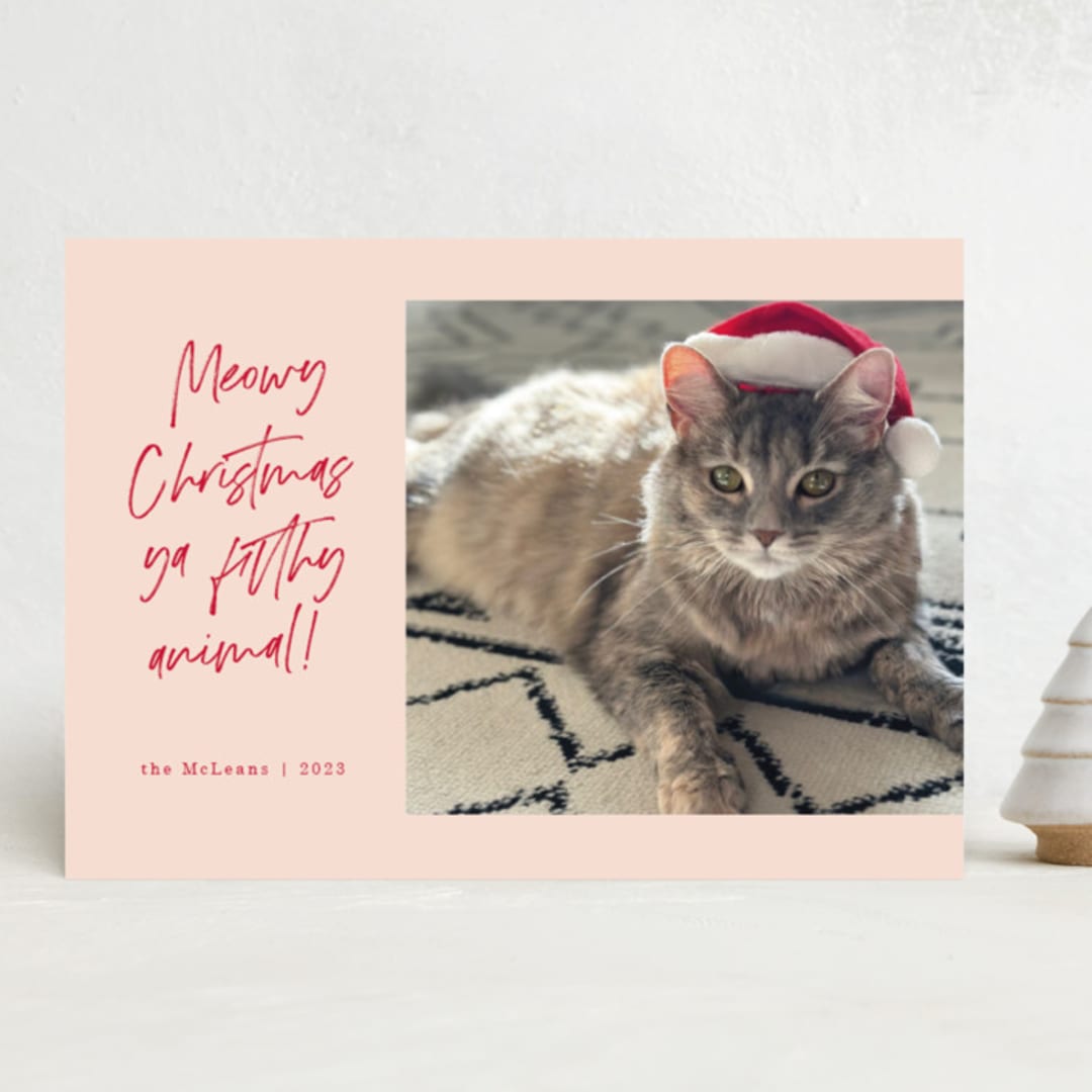 "Meowy Christmas" - Holiday Cards in Rose Cheeks by Lisa McLean - Front