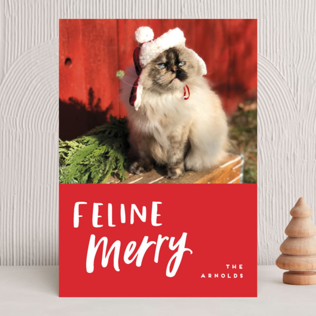 "Feline Merry" - Holiday Cards in Santa Suit by Chryssi Tsoupanarias - Front