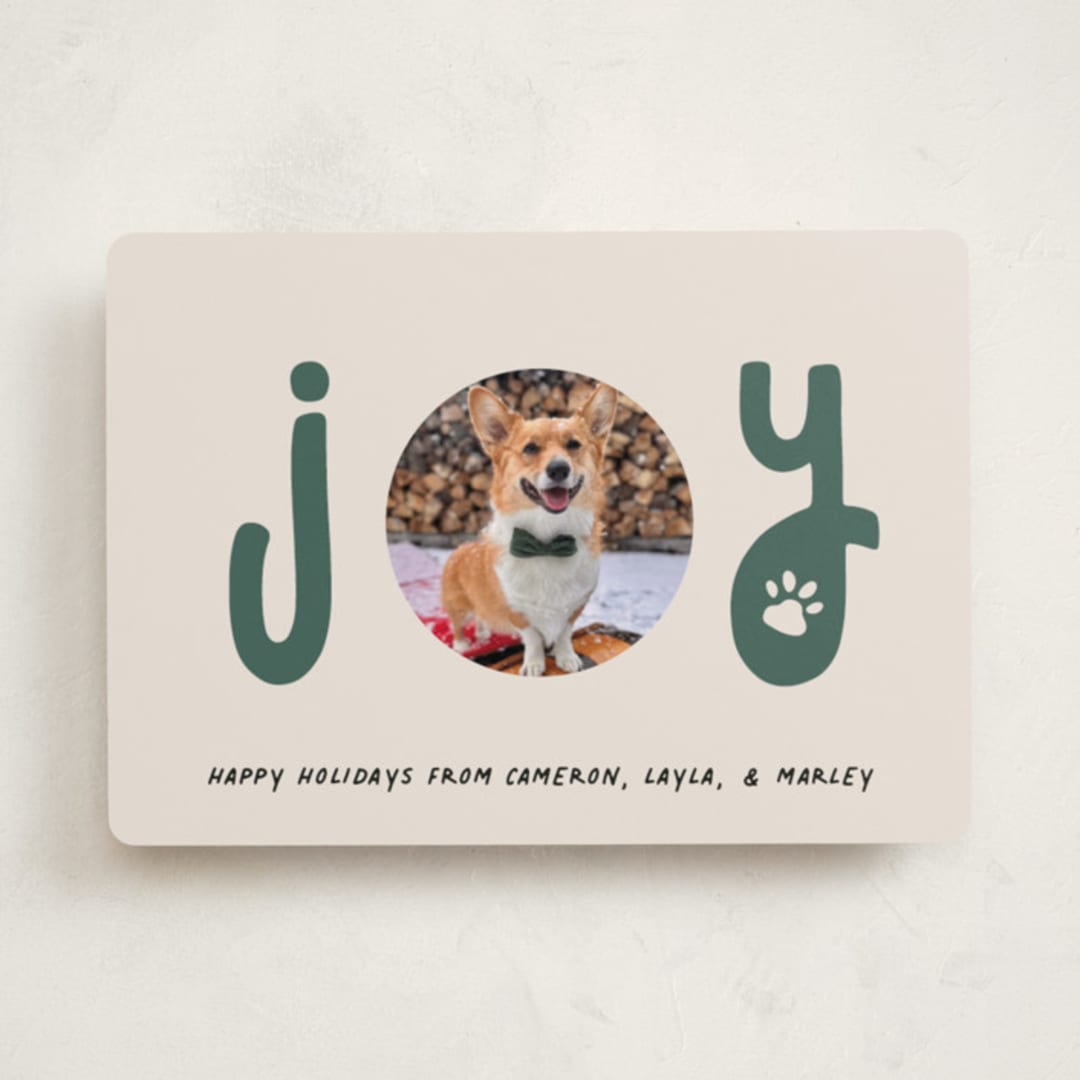 "Joyful Pet" - Holiday Cards in Juniper by Louise Kay - Front