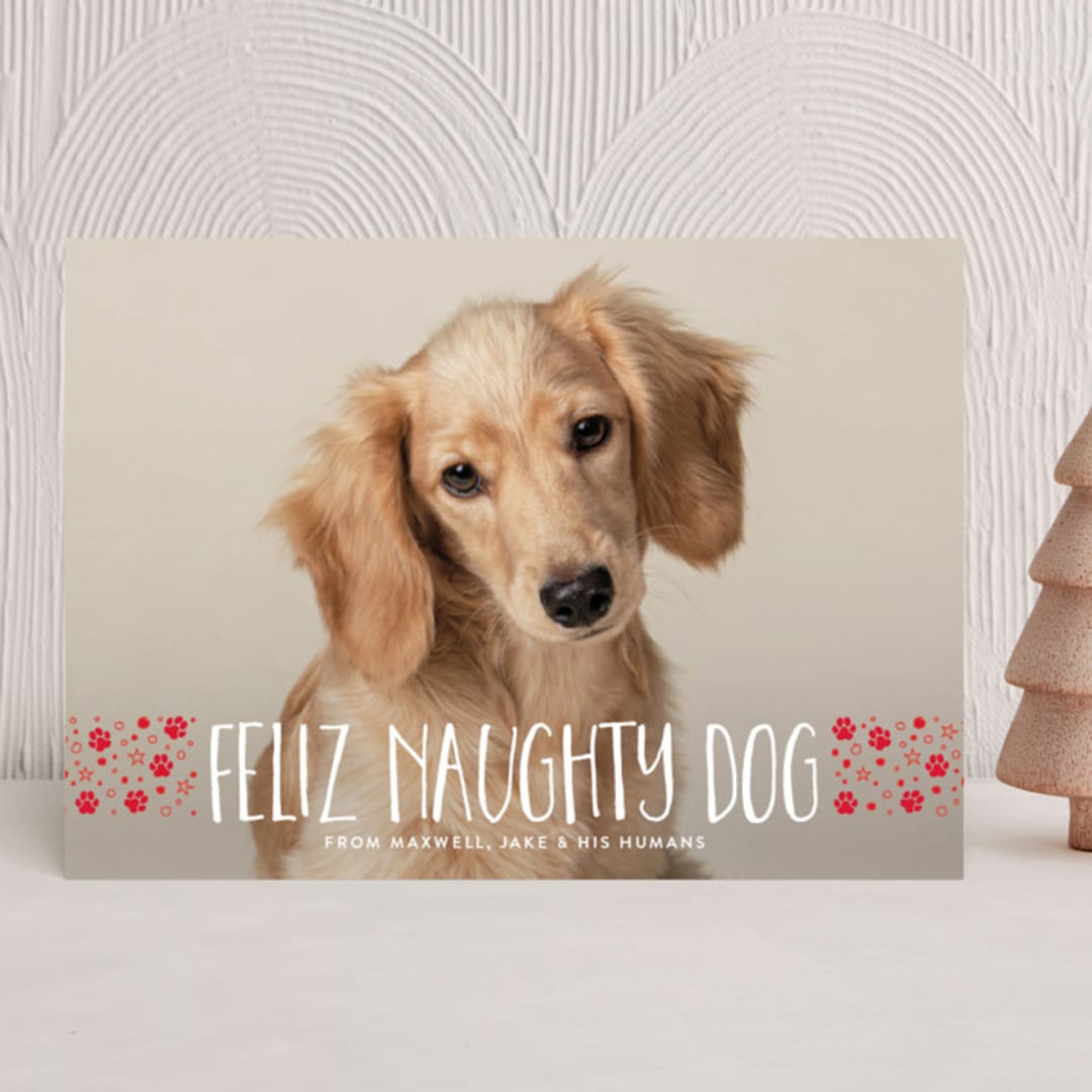 "naughty dog" - Holiday Cards in Fire Engine by Erin Deegan - Front
