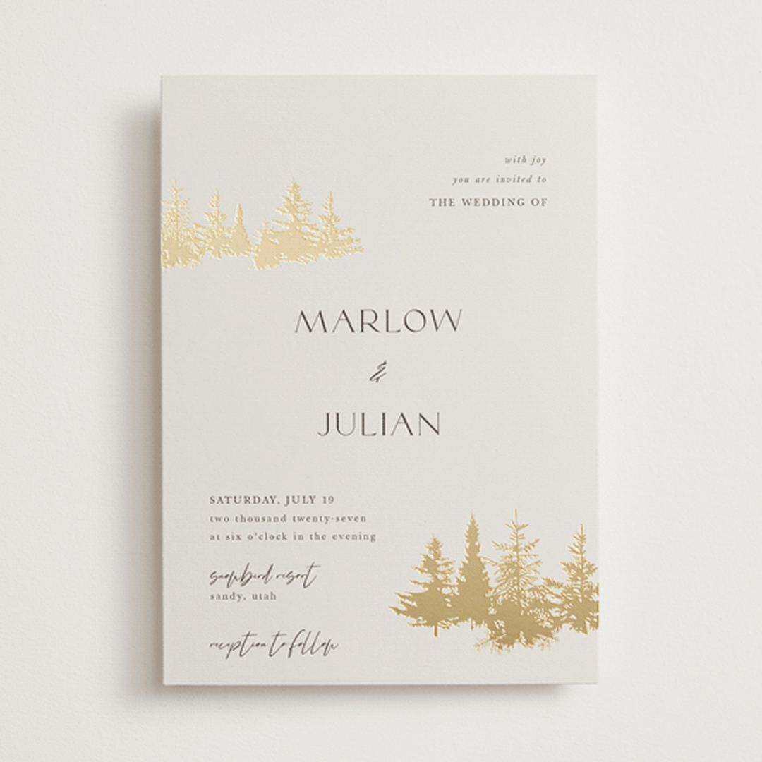 "Vista" - Wedding Invitations in Fallen Snow by Robin Ott - Front