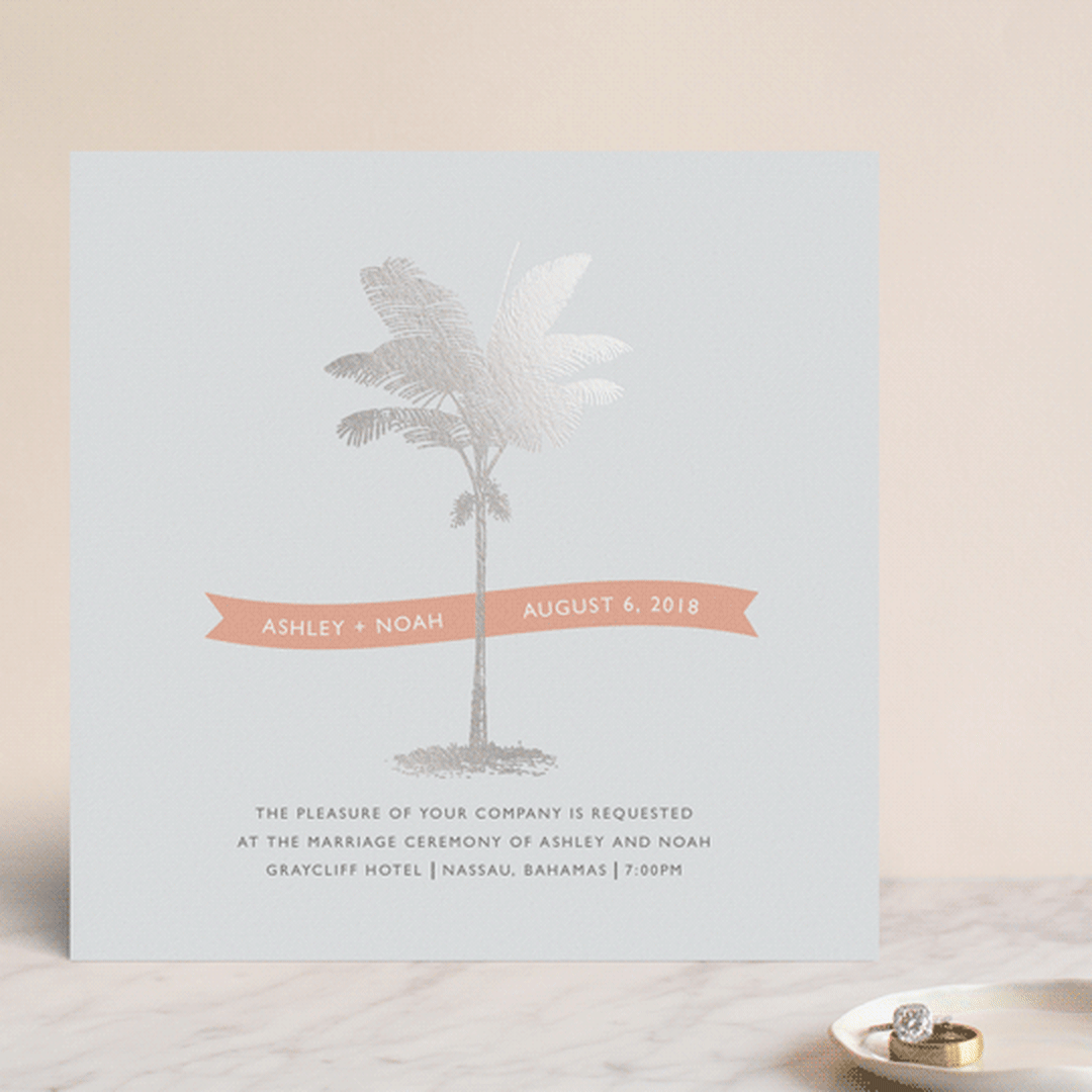 Palm