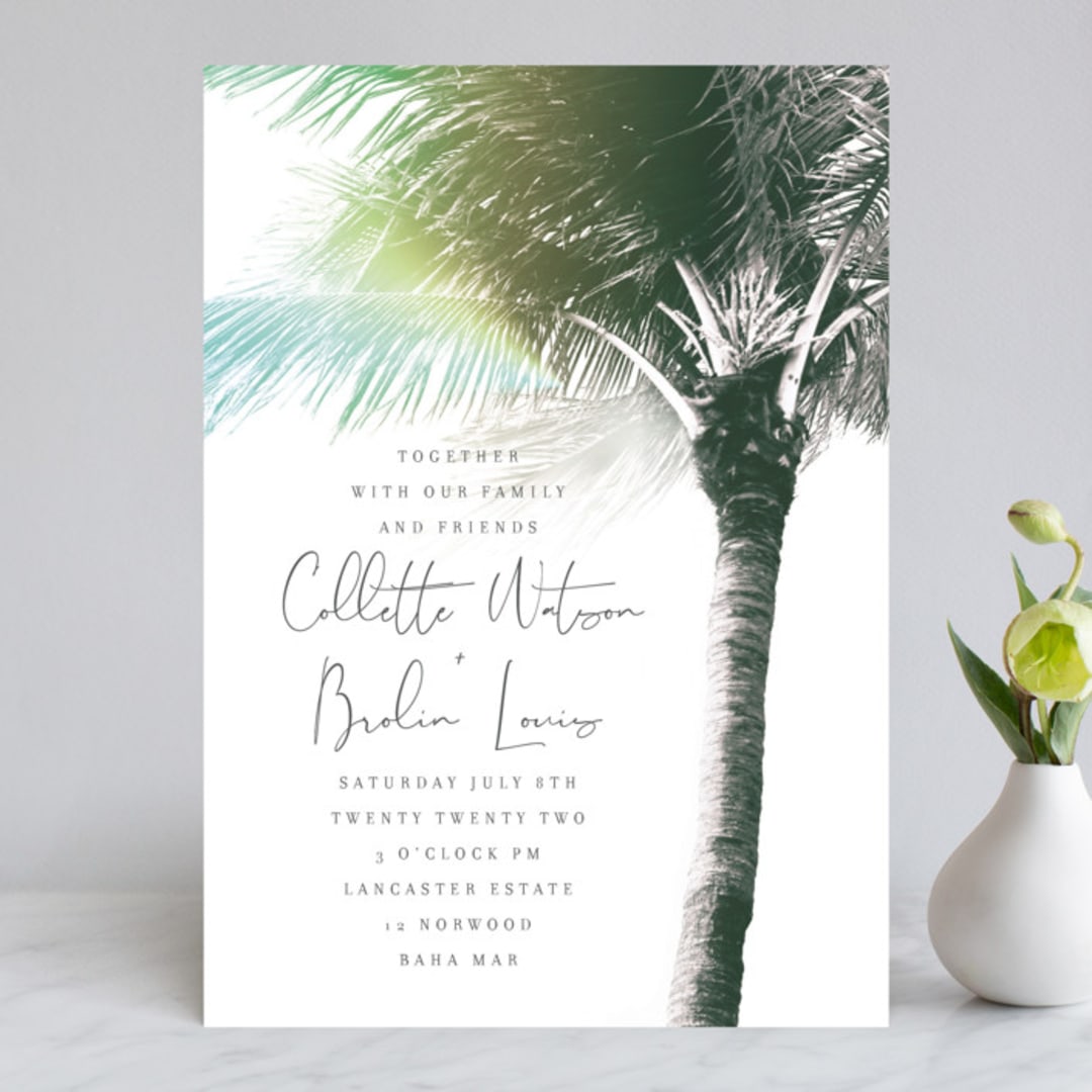 Summer Palm