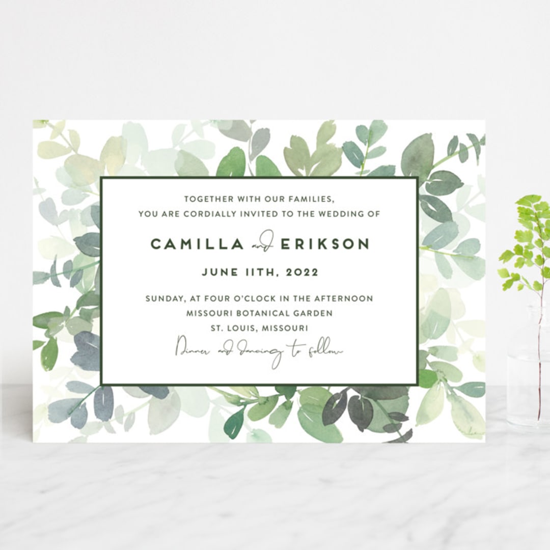 Soft Eucalyptus