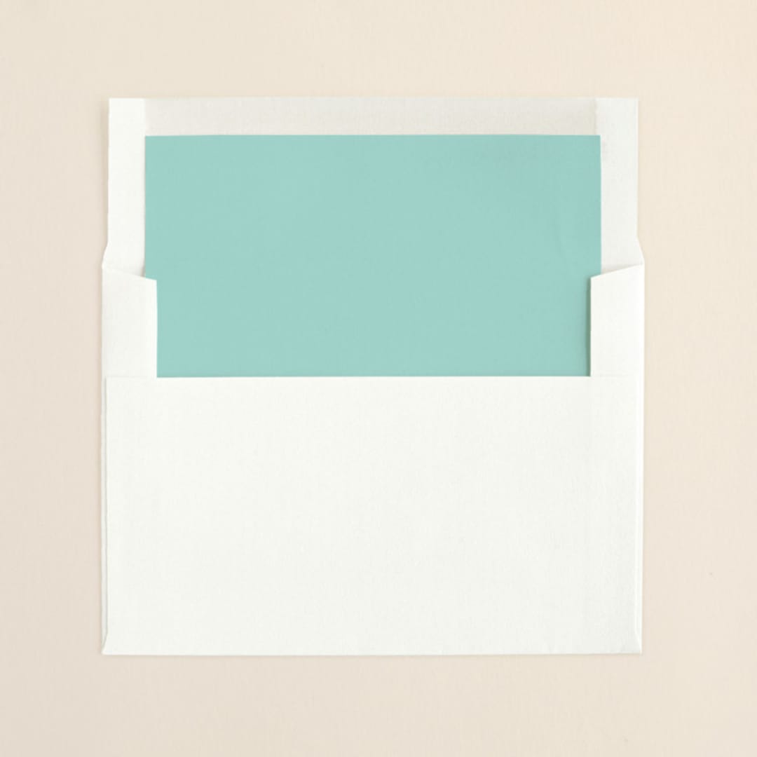 "Winter Flourish" - Slip-In Envelope Liners in Sky Blue by Annie Clark - Liner in envelope