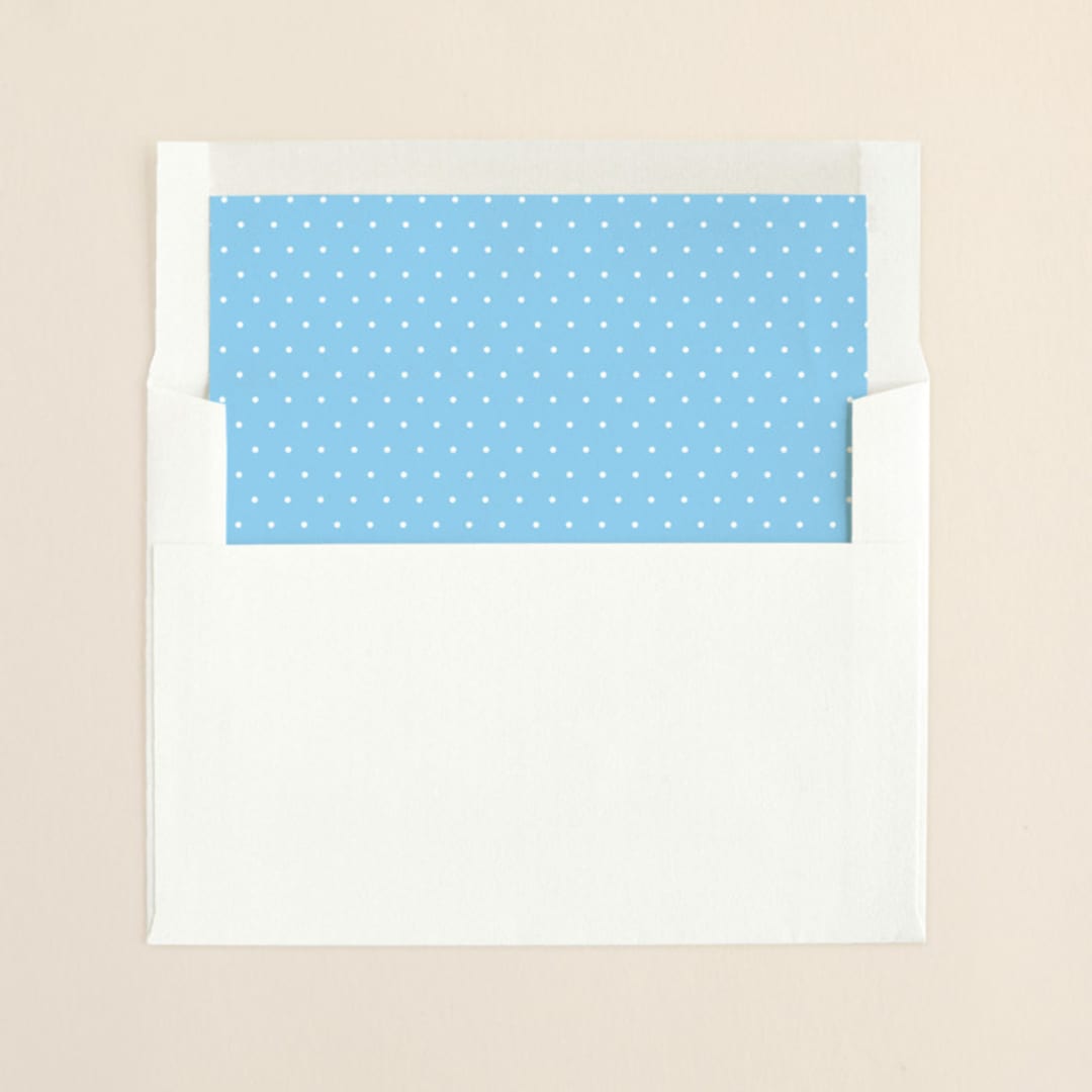 "Chandelier" - Slip-In Envelope Liners in Summer Sky by Splendid Press - Liner in envelope