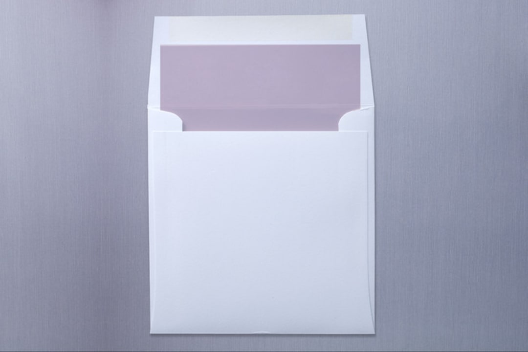 "Swanky Hotel" - Slip-In Envelope Liners in Stone by Splendid Press - Liner in envelope