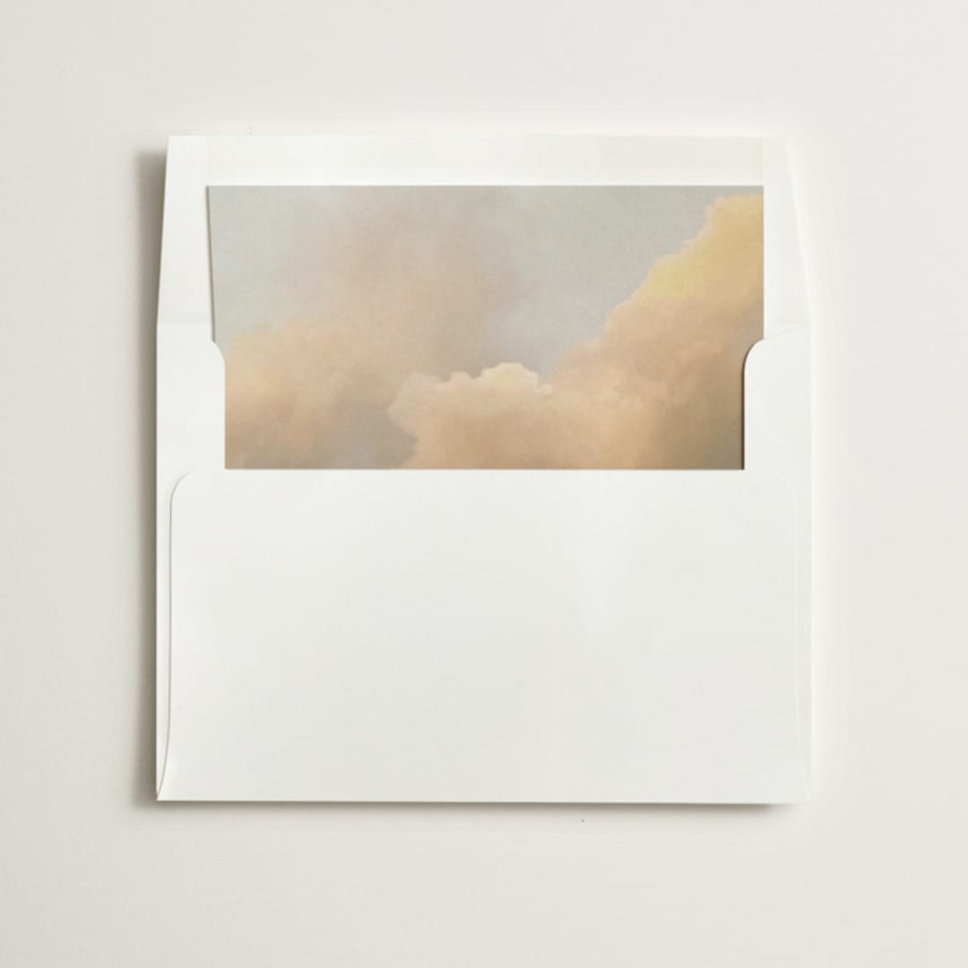 "Softness" - Slip-In Envelope Liners in Soft Pastel by Christa Kimble - Liner in envelope