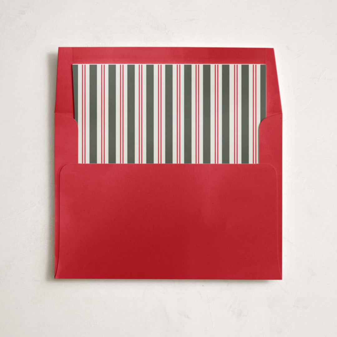 "Modern striped frame" - Slip-In Envelope Liners in Candy Cane by Jackie Crawford - Liner in envelope