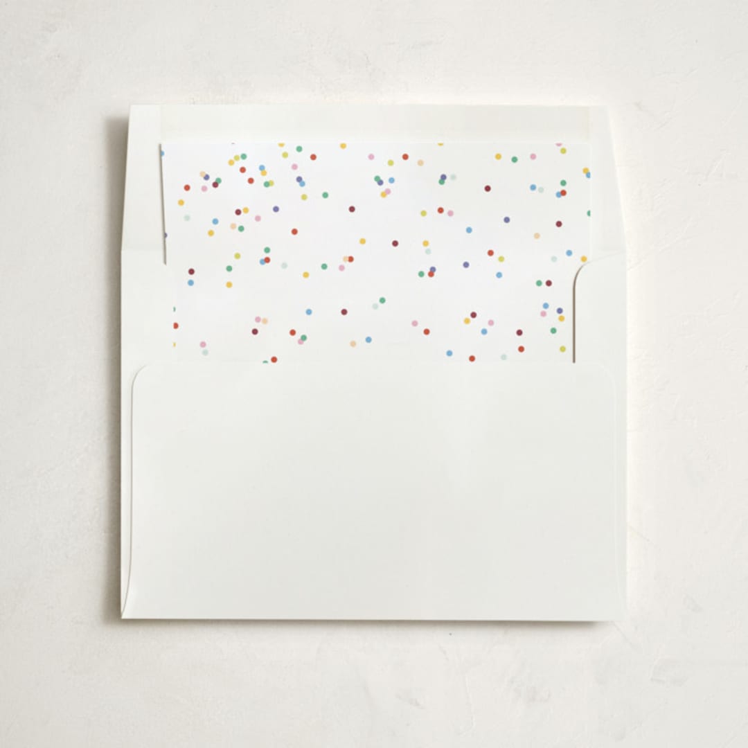 "scattered confetti" - Slip-In Envelope Liners in Multi by Ellen Schlegelmilch - Liner in envelope