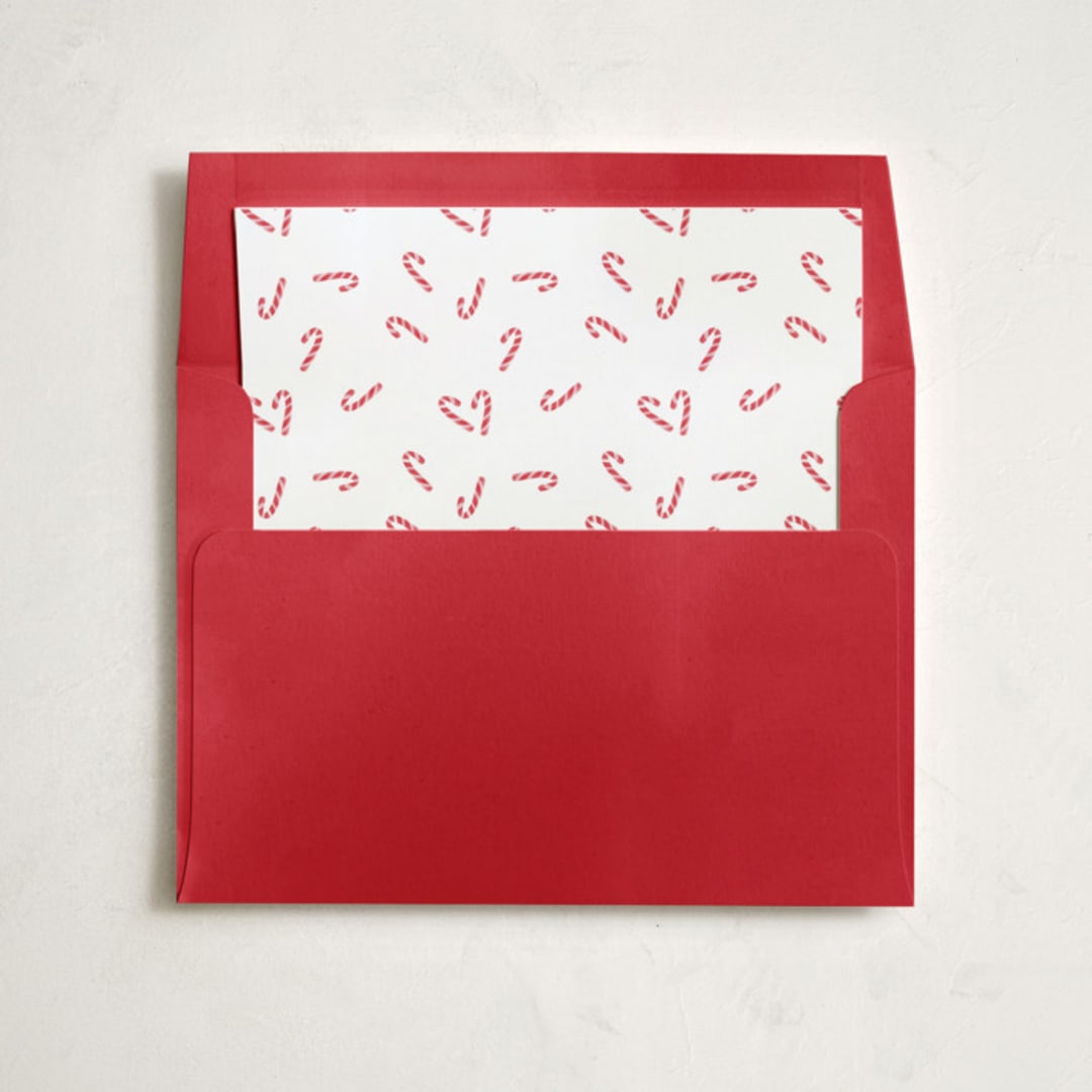 "Cutie Candy Canes" - Slip-In Envelope Liners in Snow by Lauren Chism - Liner in envelope
