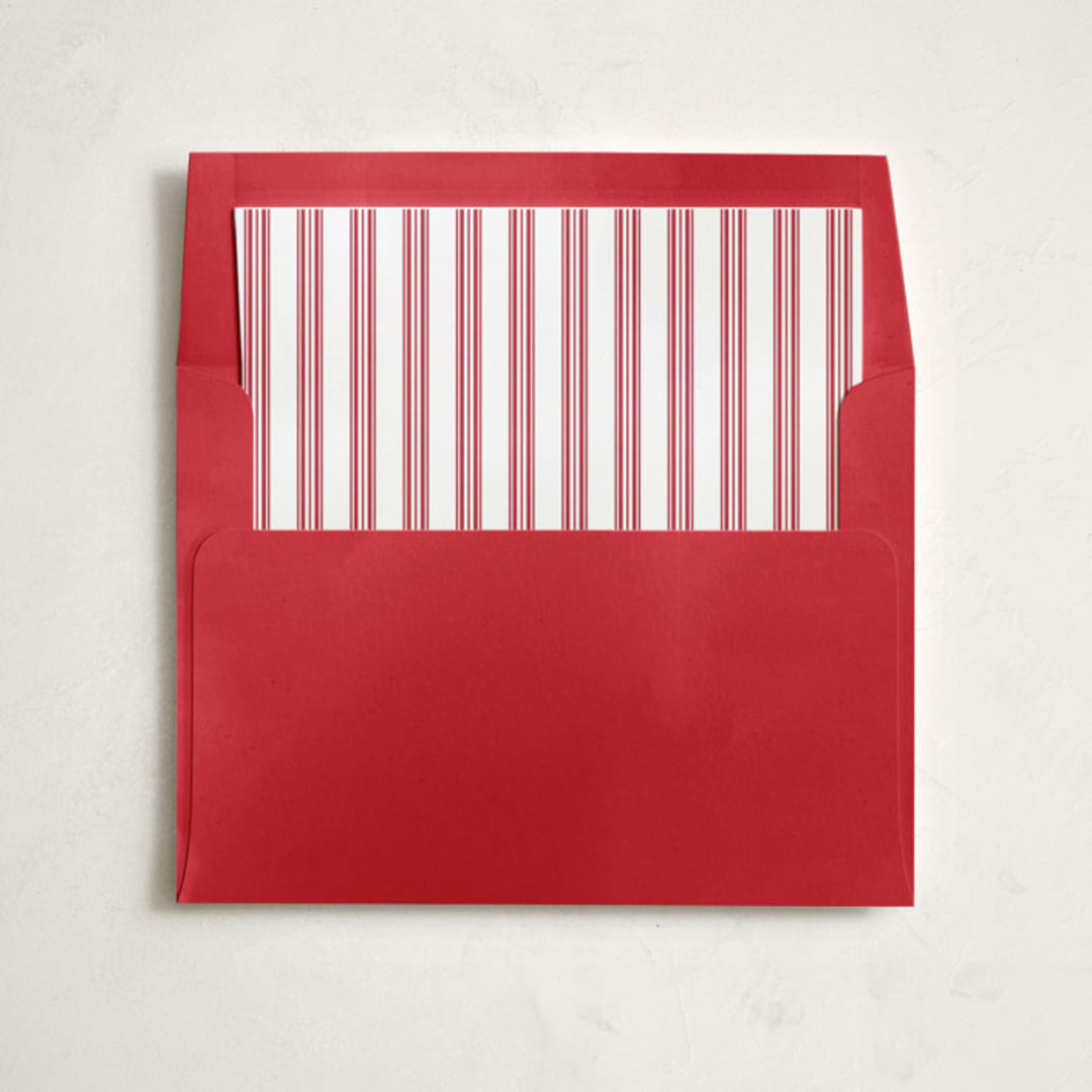 "Petite Plume Antique Red Ticking" - Slip-In Envelope Liners in Cherry by Minted - Liner in envelope