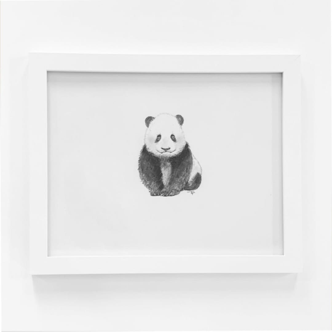 "Panda" - Original Drawings in white by Teju Reval