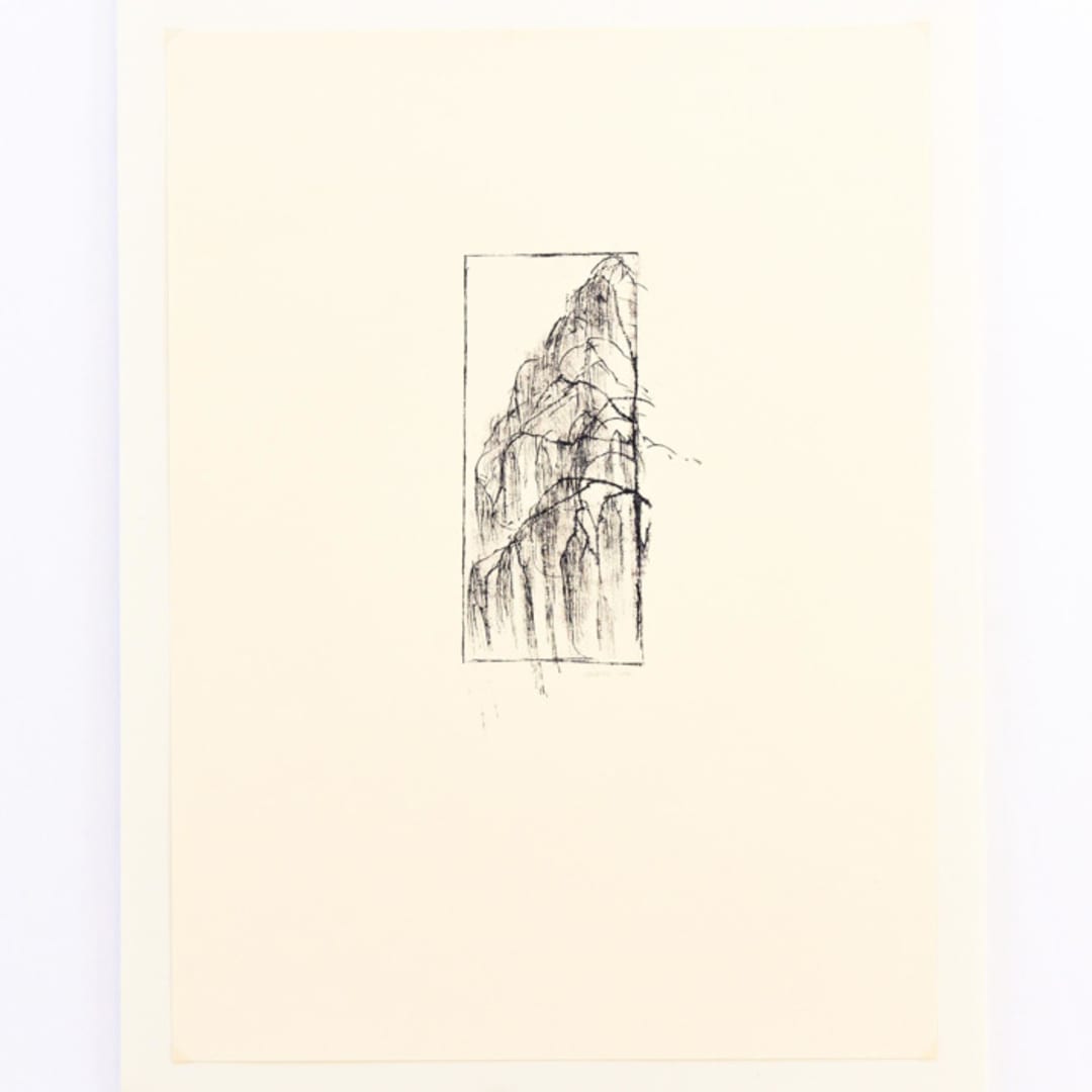 "Willow 1" - Original Drawings in black by Dana Williamowsky