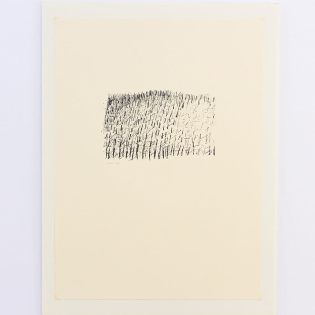 "Corn Field 2" - Original Drawings in black by Dana Williamowsky