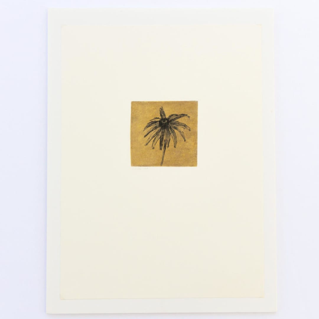 "Golden Flower" - Original Drawings in multicolorassorted-colors by Dana Williamowsky