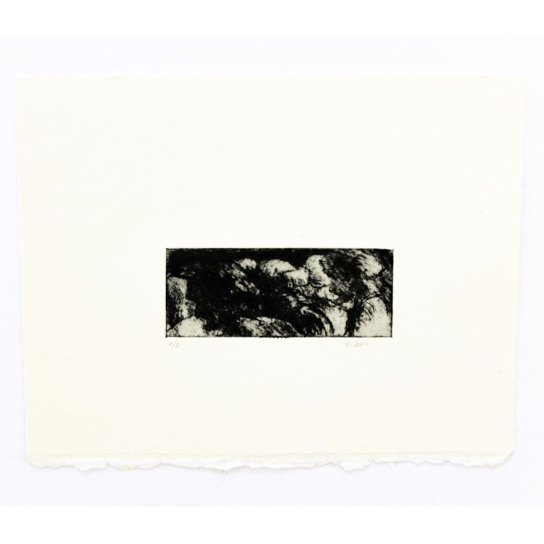 "Etching 1" - Original Drawings in black by Dana Williamowsky