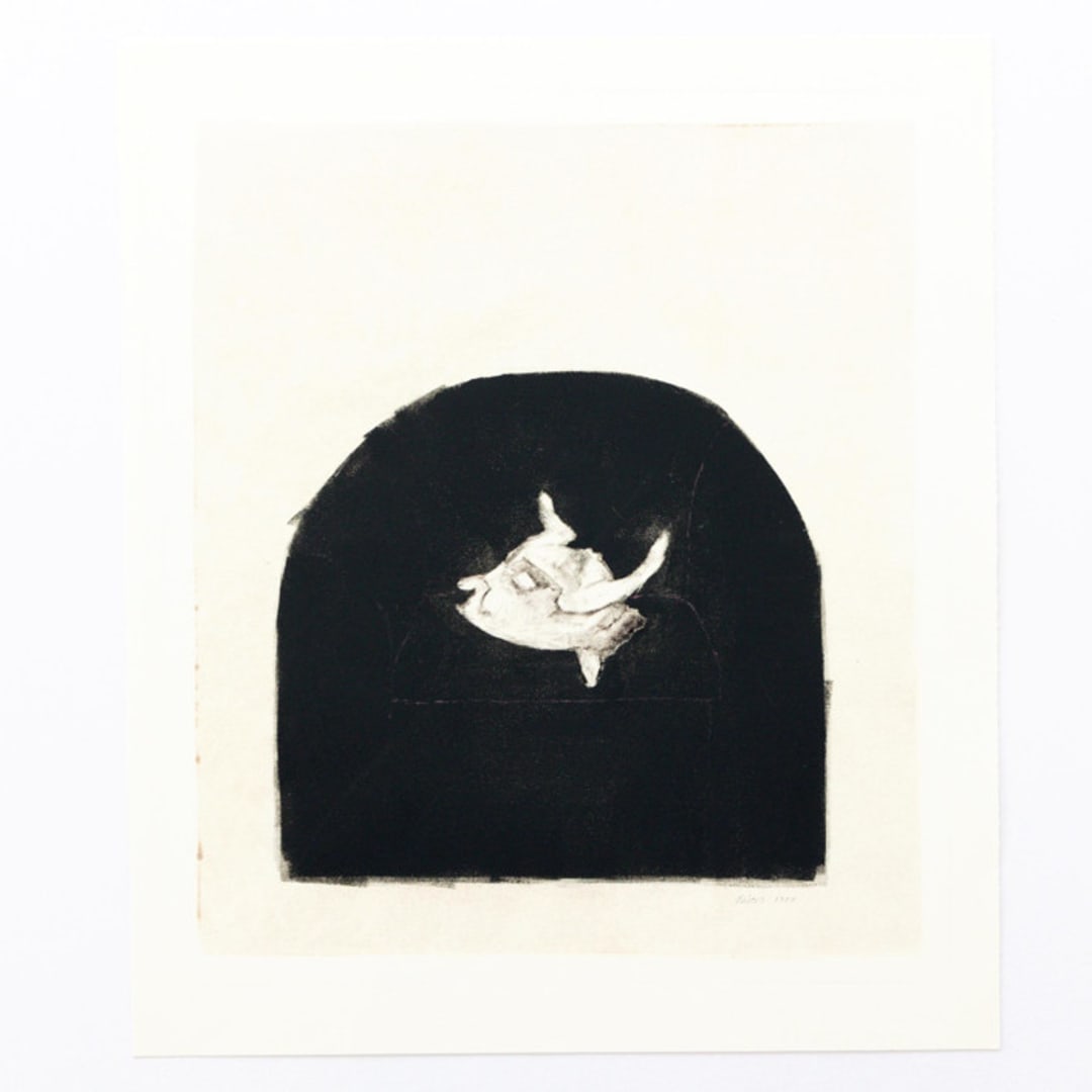 "Rolling Dog 1" - Original Drawings in multicolorassorted-colors by Dana Williamowsky