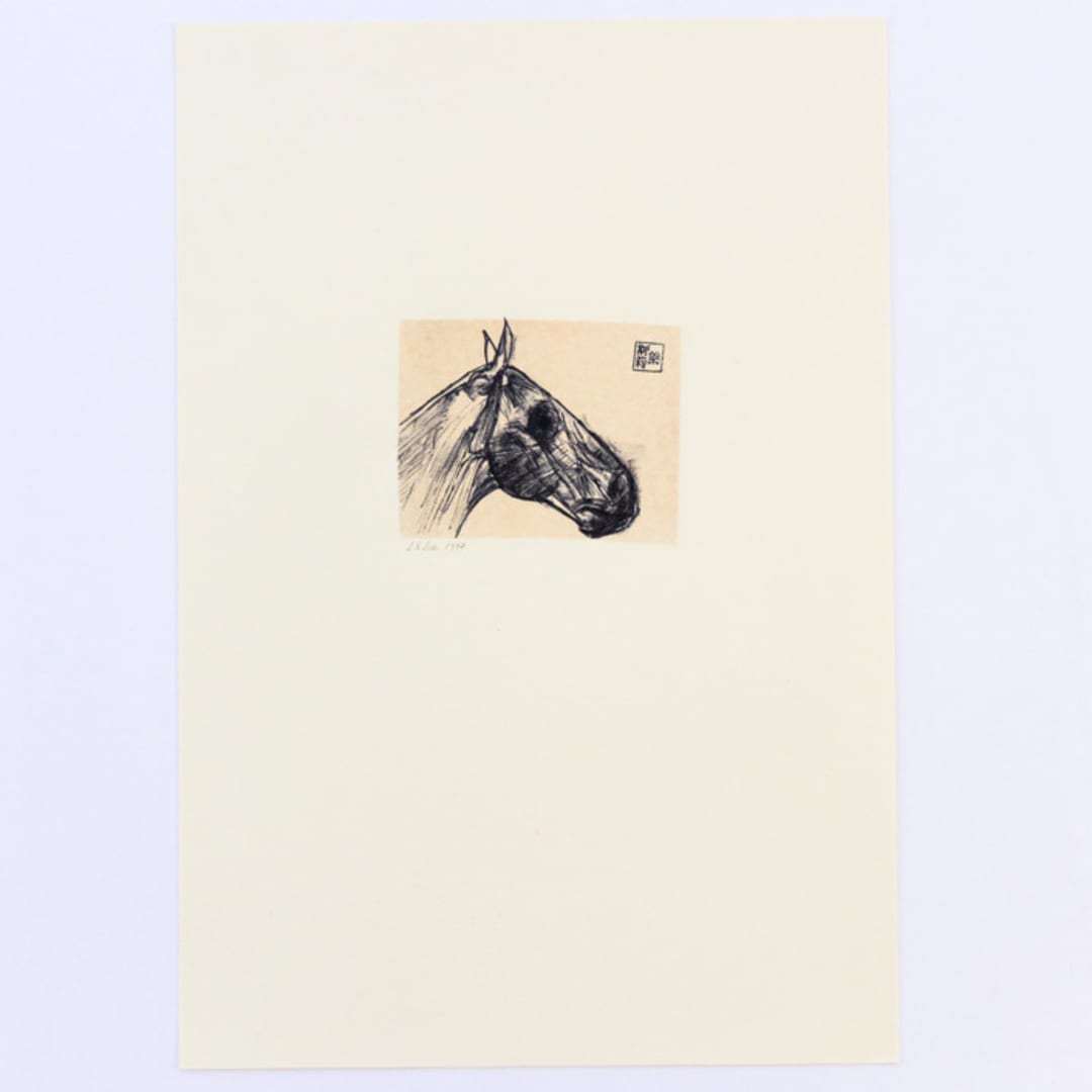 "Colored Black Horse of the Apocalypse Original Pastel" - Original Drawings in multicolor by Dana Williamowsky