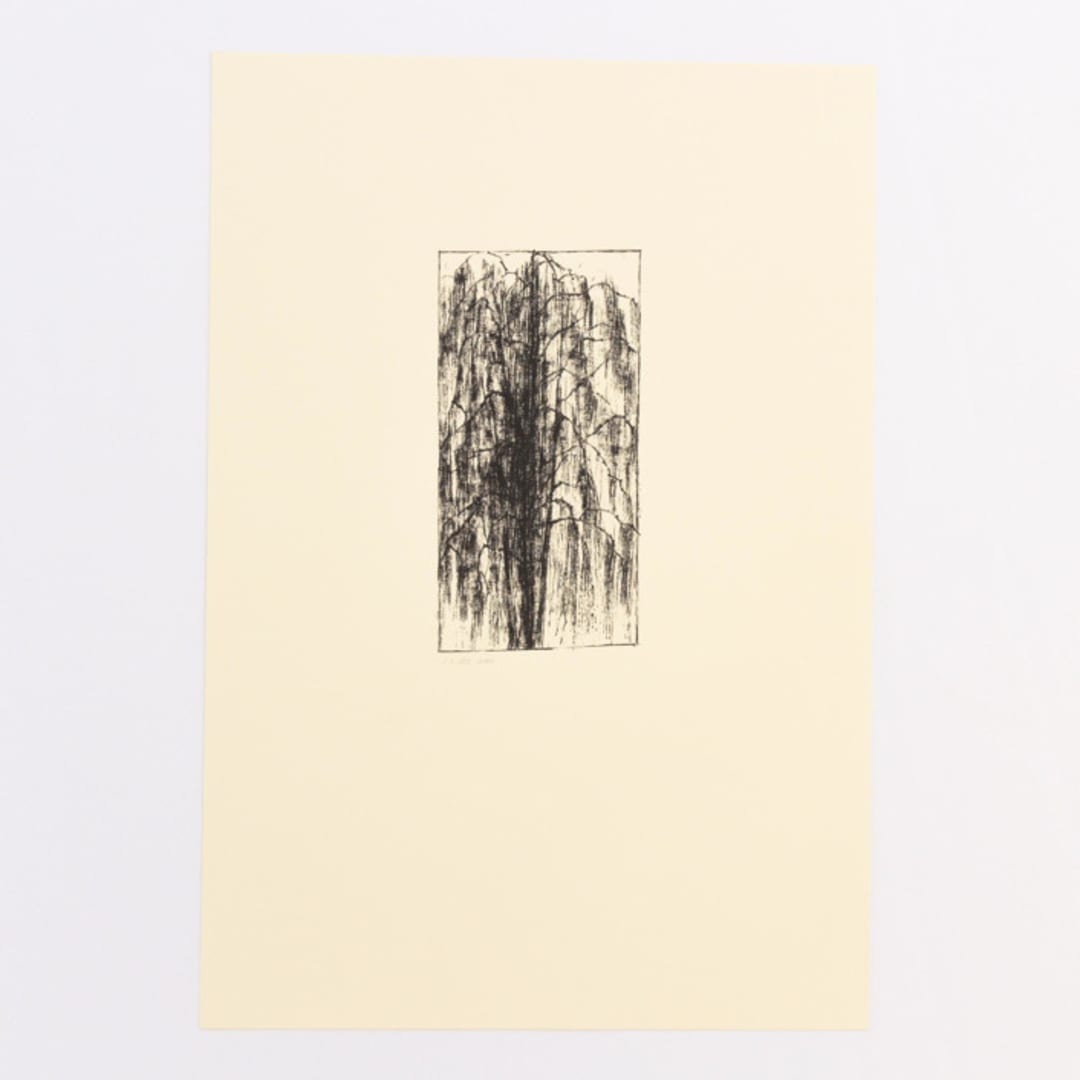 "Willow 5" - Original Drawings in black by Dana Williamowsky