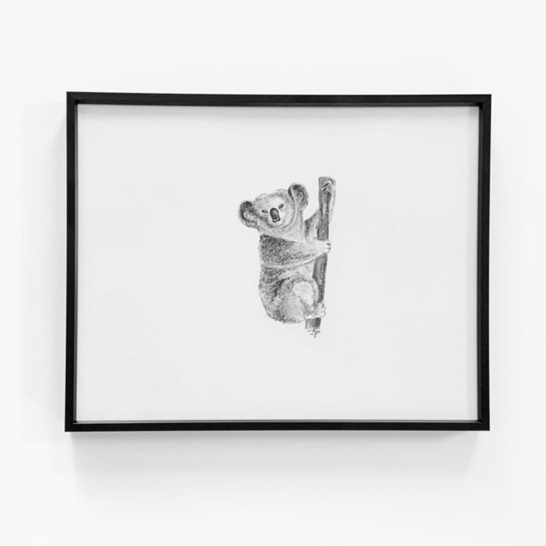 "Koala" - Original Drawings in black by Teju Reval