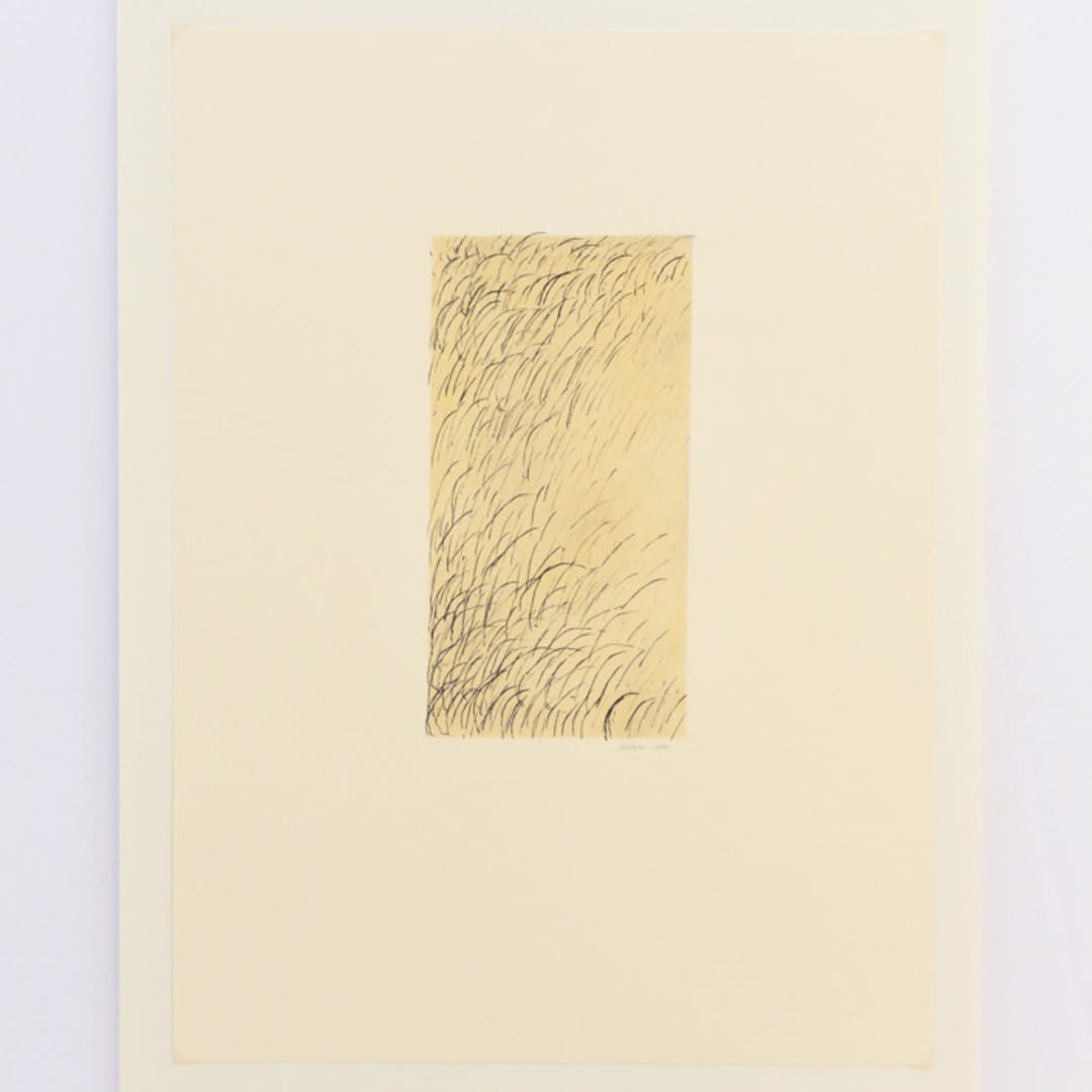 "Grasses Pastel" - Original Drawings in multicolorassorted-colors by Dana Williamowsky