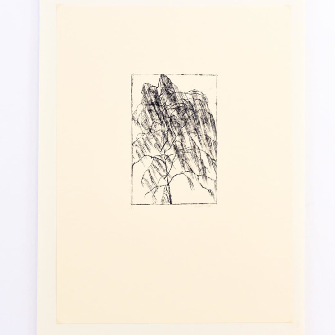"Willow 2" - Original Drawings in black by Dana Williamowsky