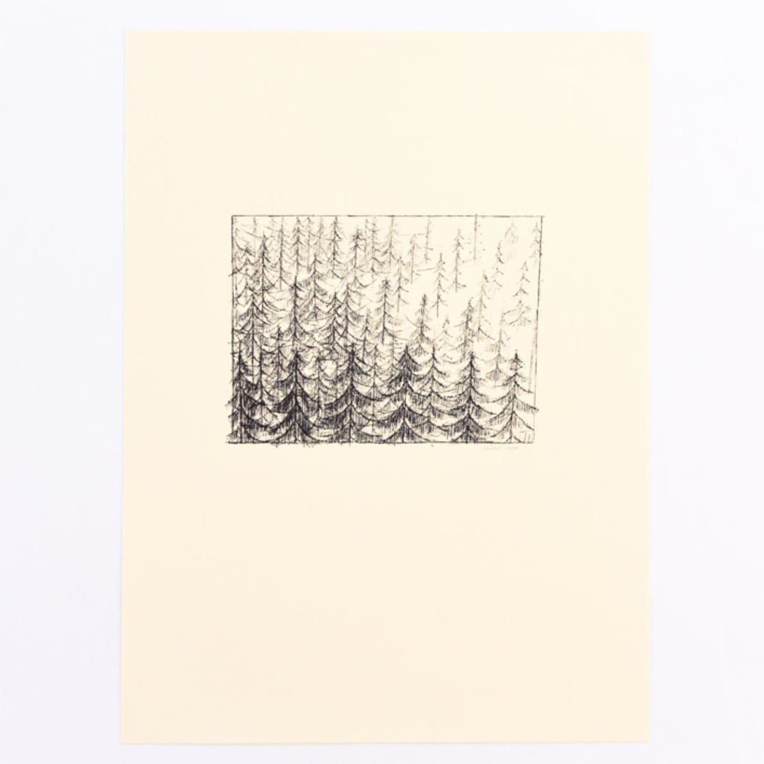 "Pine Forest" - Original Drawings in black by Dana Williamowsky