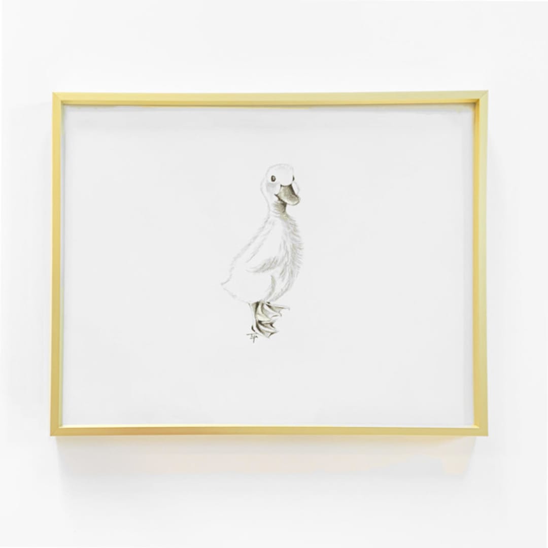 "Duck" - Original Drawings in gold by Teju Reval