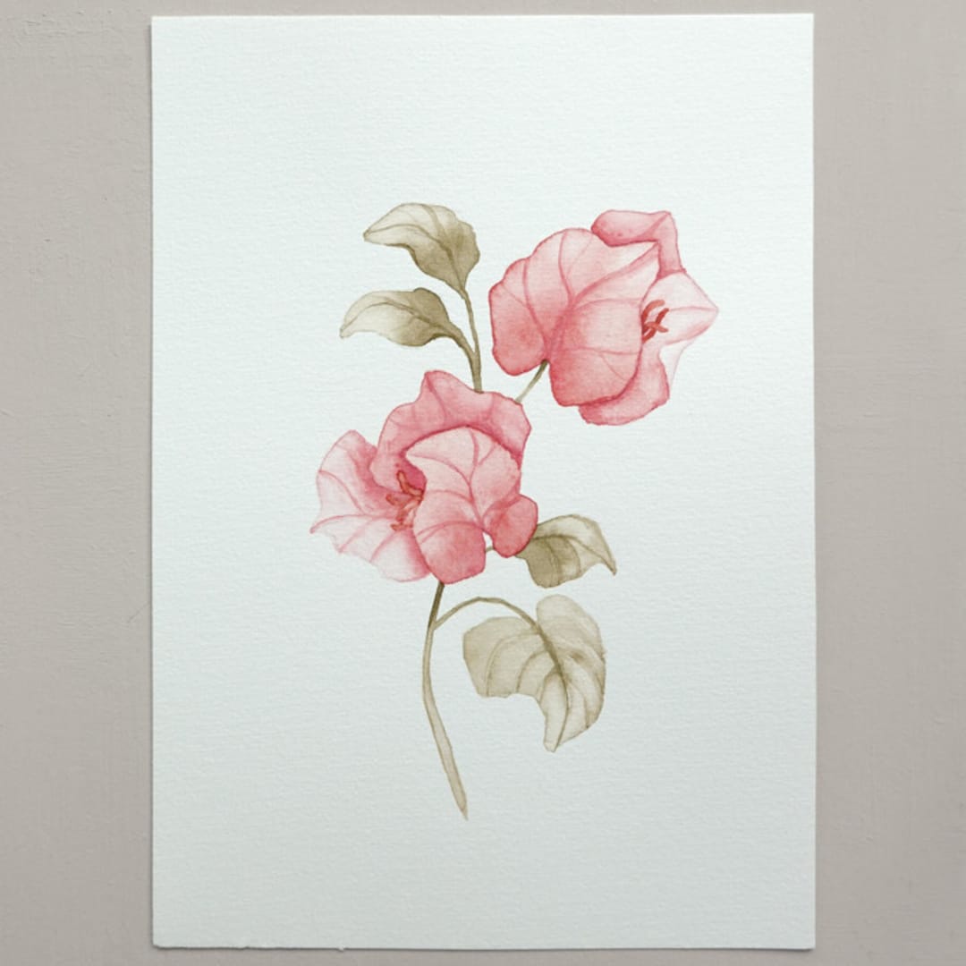"Bougainvillea flowers watercolor painting" - Original Painting in pink by Angele Kamp