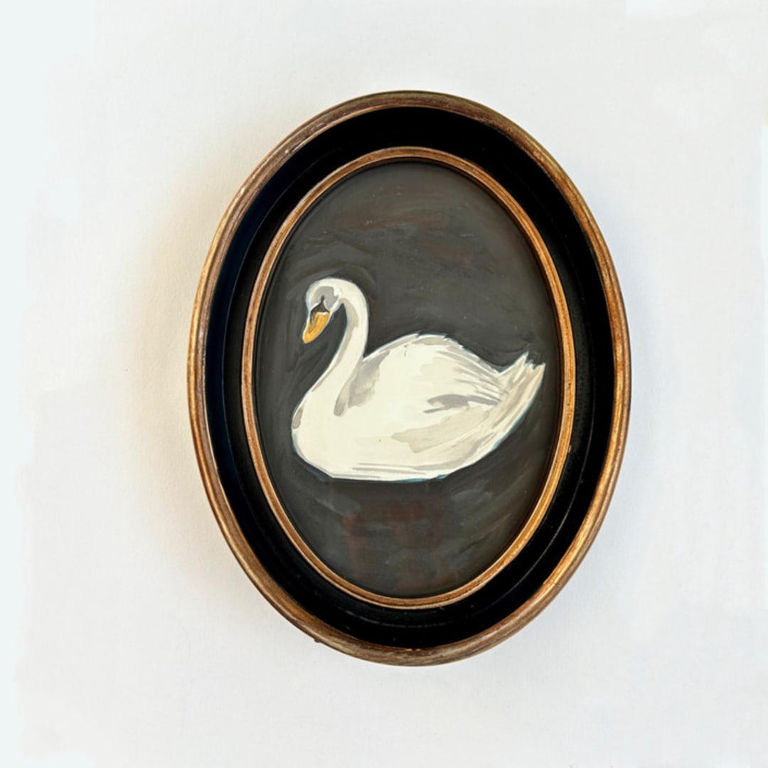 Dreamy Swan