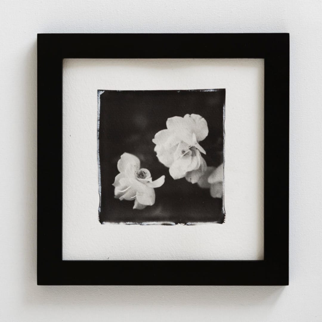 "la vie en rose I" - Original Mixed Media in black by Kamala Nahas