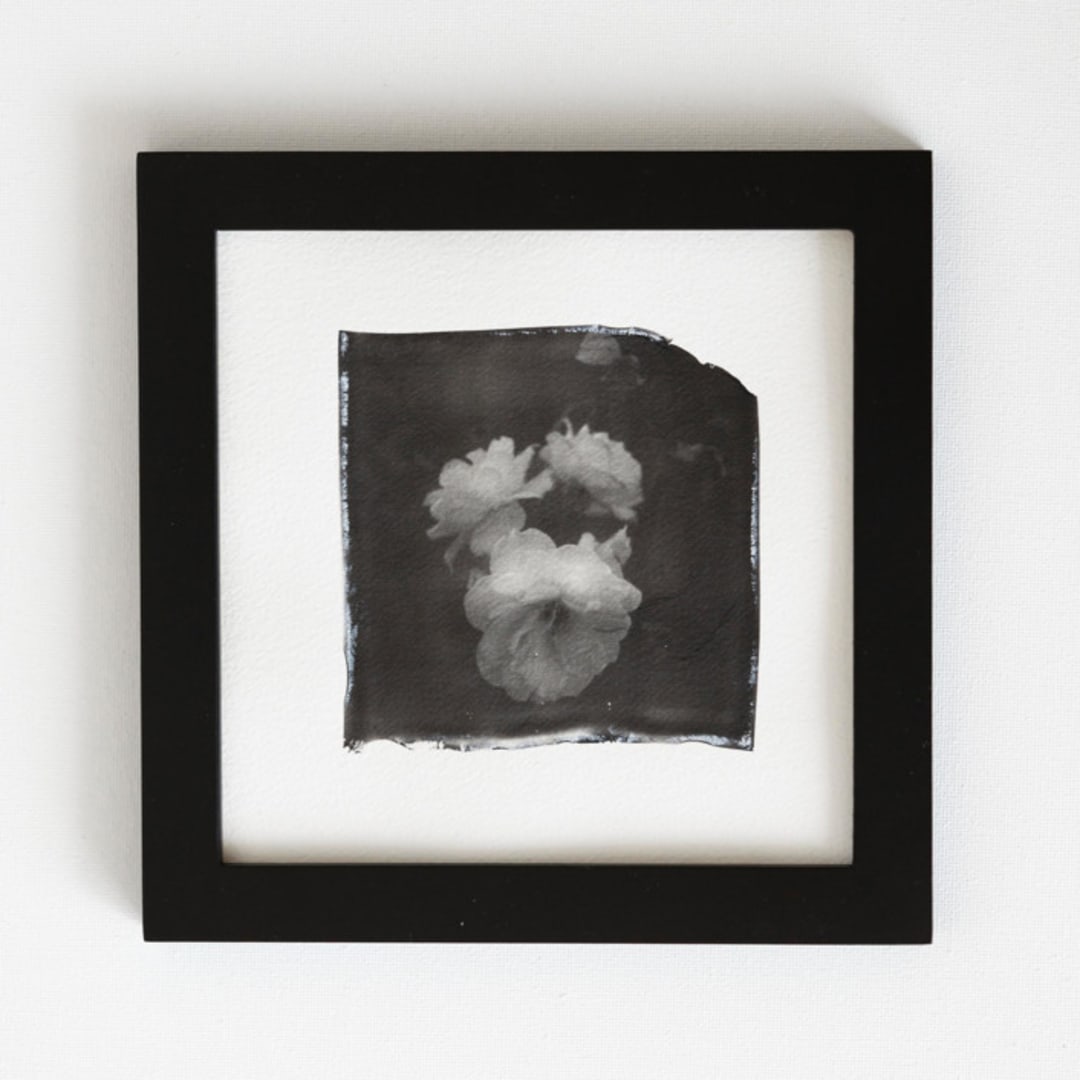 "la vie en rose II" - Original Mixed Media in black by Kamala Nahas