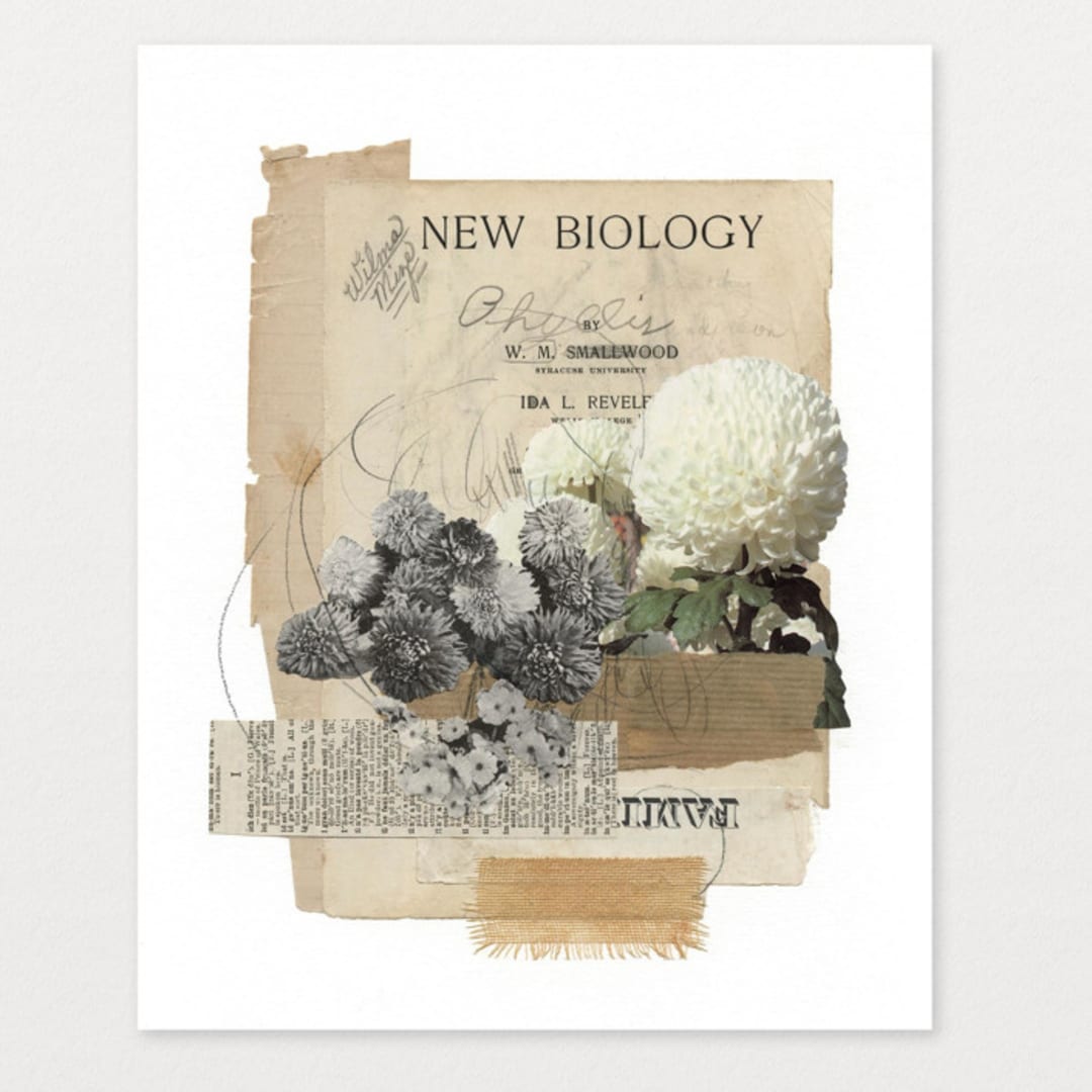 "New Biology" - Original Mixed Media in beige by Field and Sky