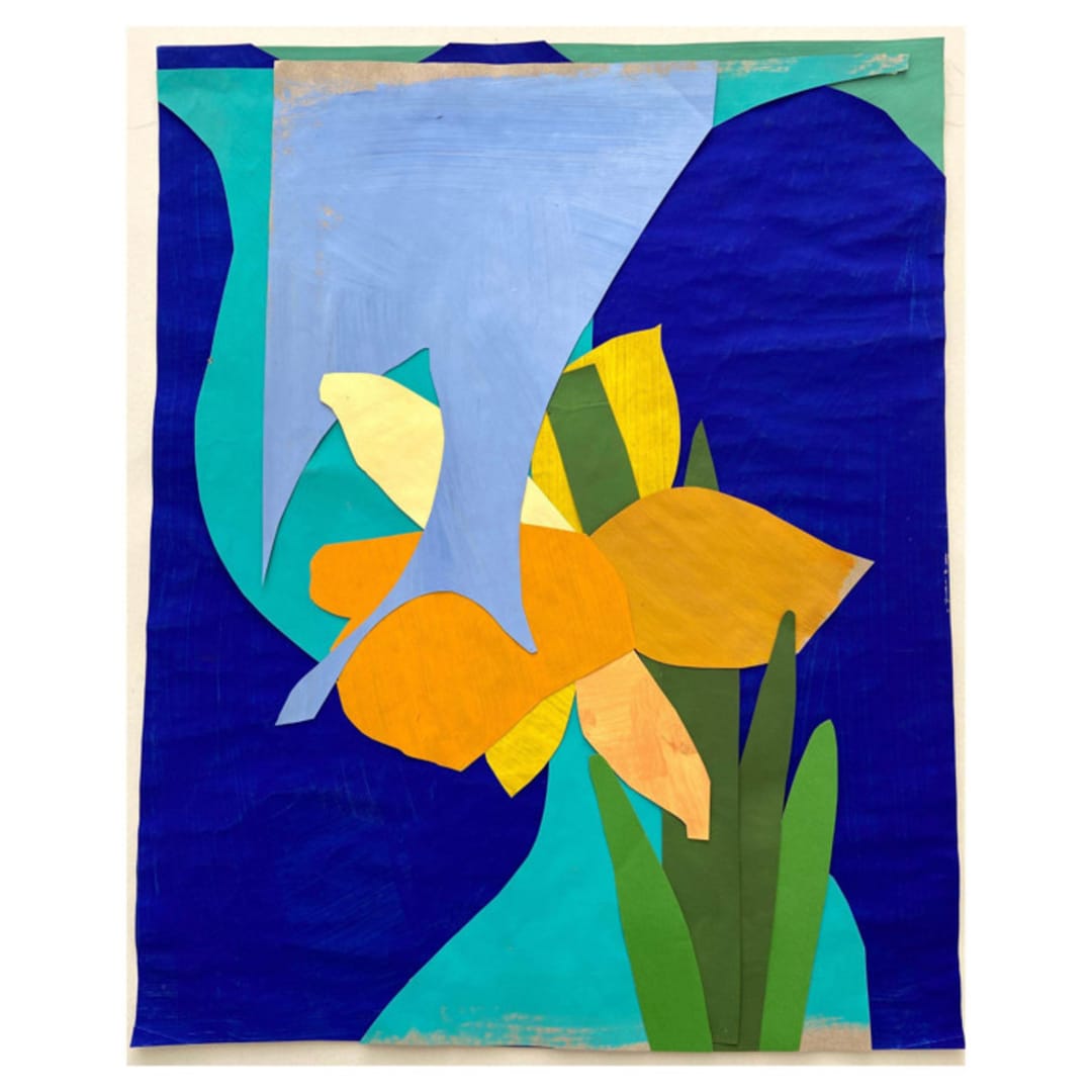 Daffodil Dreams