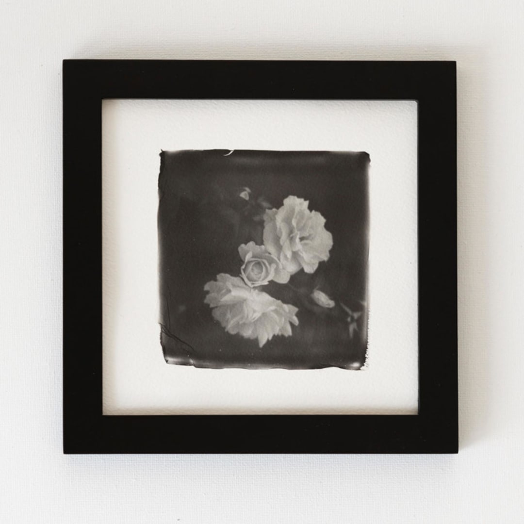 "la vie en rose III" - Original Mixed Media in black by Kamala Nahas