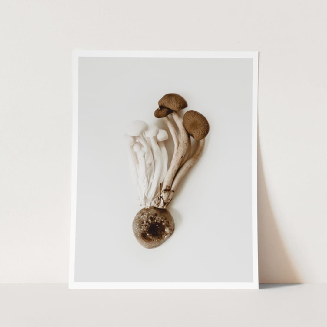 "Exotica IV - 16" x 20"" - Limited Edition Prints - Photography in brown by Kamala Nahas