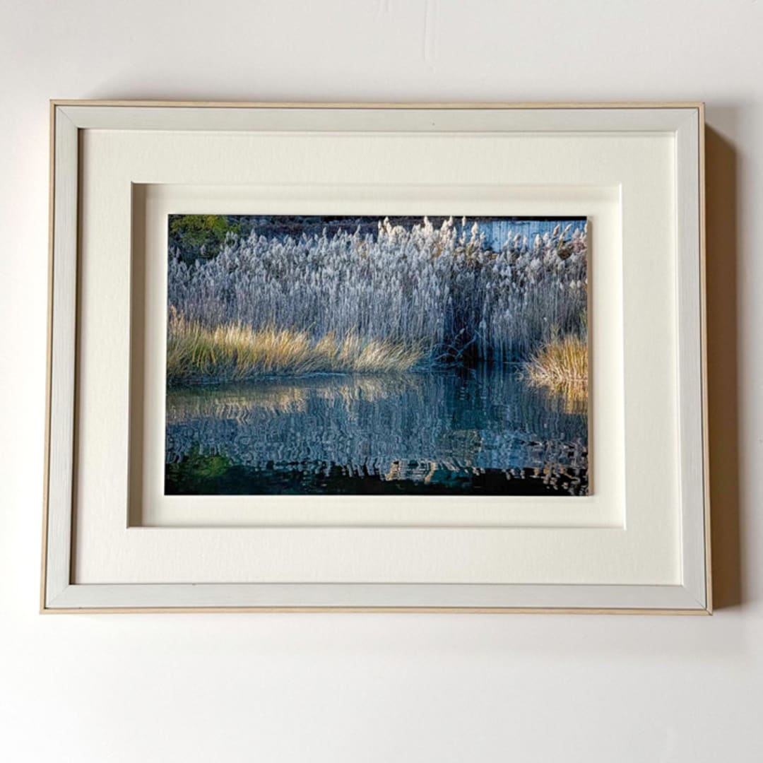 "Reeds" - Limited Edition Prints - Photography in blue by Catherine Hartigan
