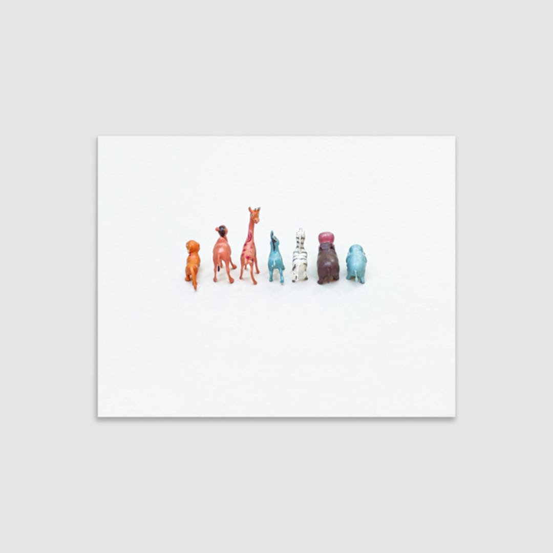 "Best Buddies (canvas)" - Limited Edition Prints - Photography in multicolorassorted-colors by Deborah Chou