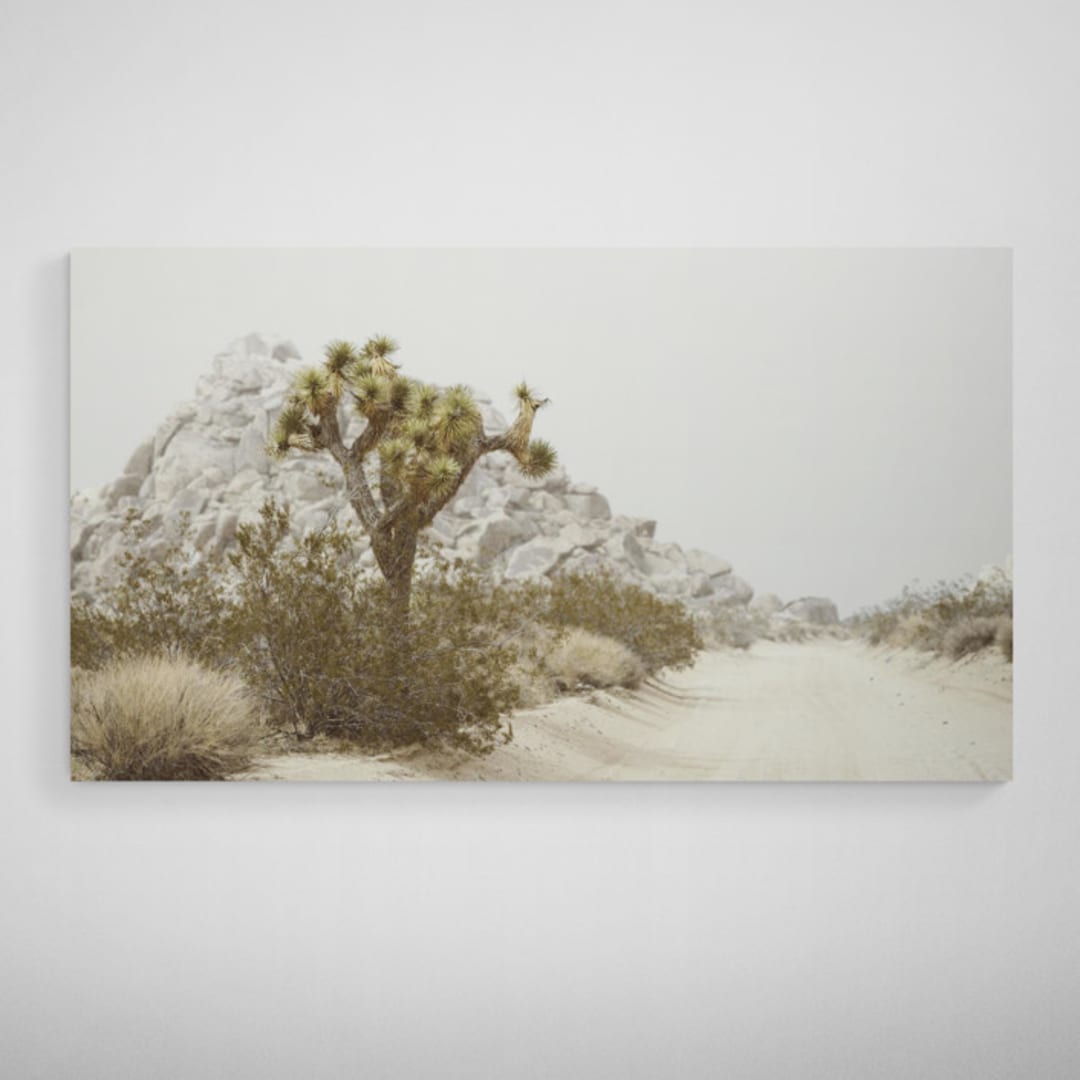 "Desert Flurry - 16" x 9"" - Limited Edition Prints - Photography in gray by Kamala Nahas